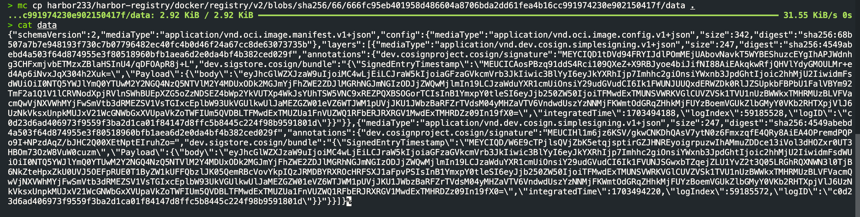 image-20231225170334443